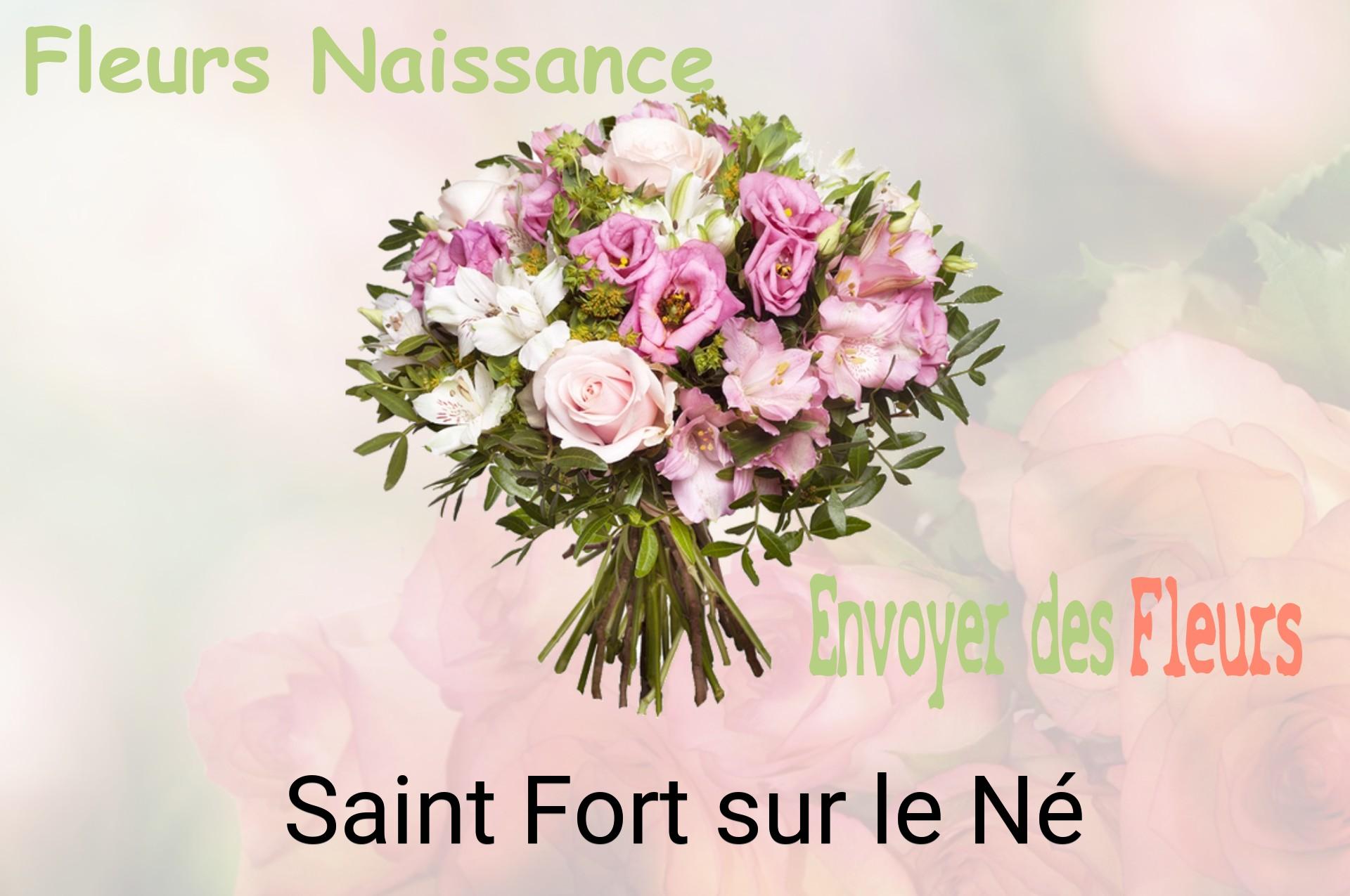 Bouquet de fleurs de naissance livré à Saint-Fort-sur-le-Né